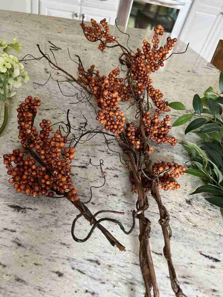 These colorful orange berries on wooden branches really say "fall" in a big way!
