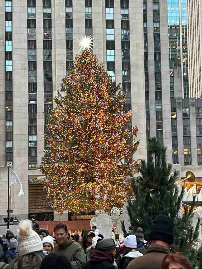 Here is a photo of the Christmas tree in Rockefeller Center all lit up.  Great spot for people watching!