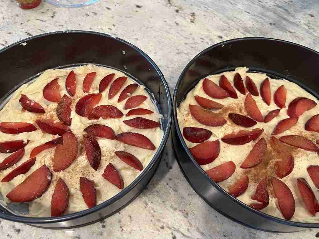 Here are the two cakes in the spring-form pans with the plums all layered on top of the batter.