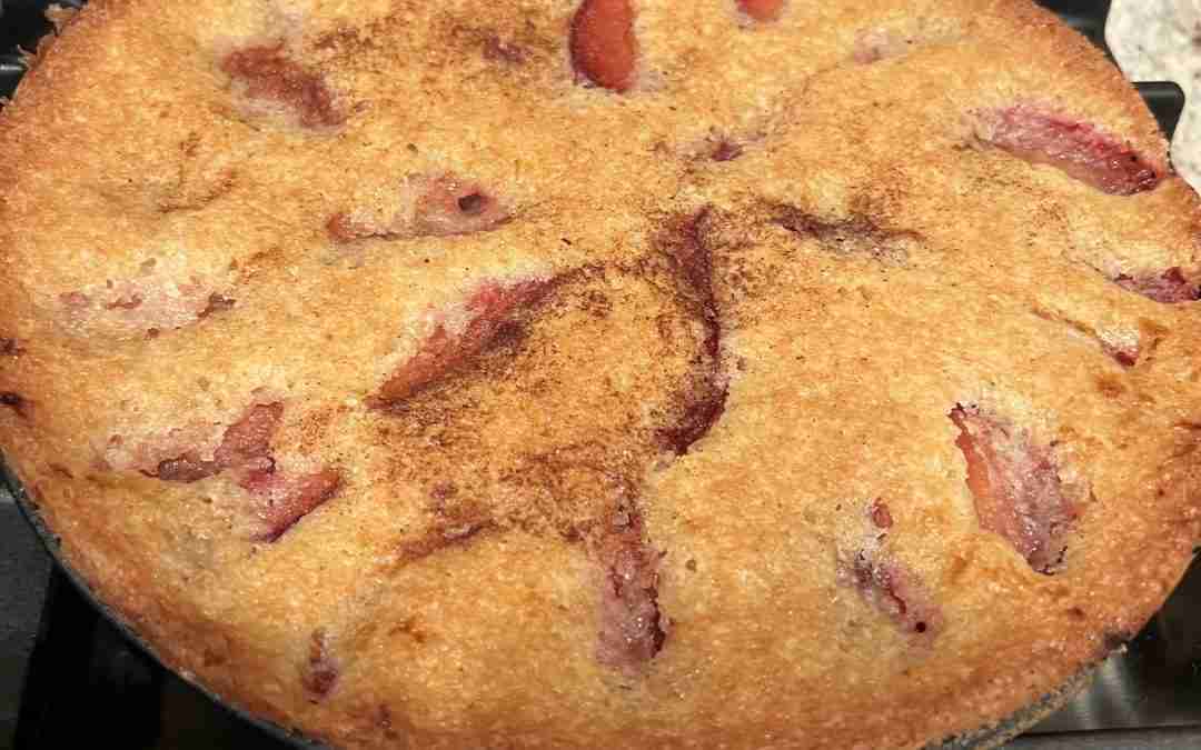 Easy and Delicious Traditional Plum Cake Recipe for Fall!
